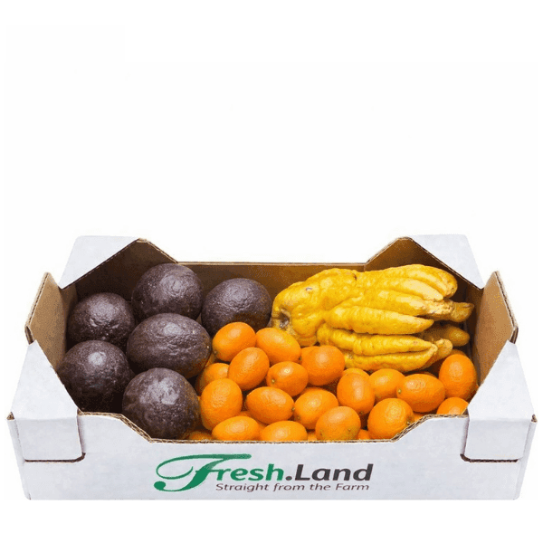 Øko Eksotisk Citrus  🇪🇸 — Fresh.Land