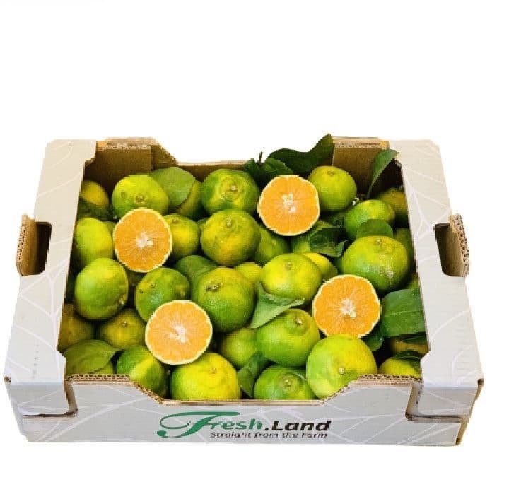 Øko Satsumas 🇪🇸 — Fresh.Land