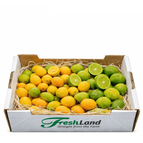 Øko Limequat / Kumquat  🇪🇸