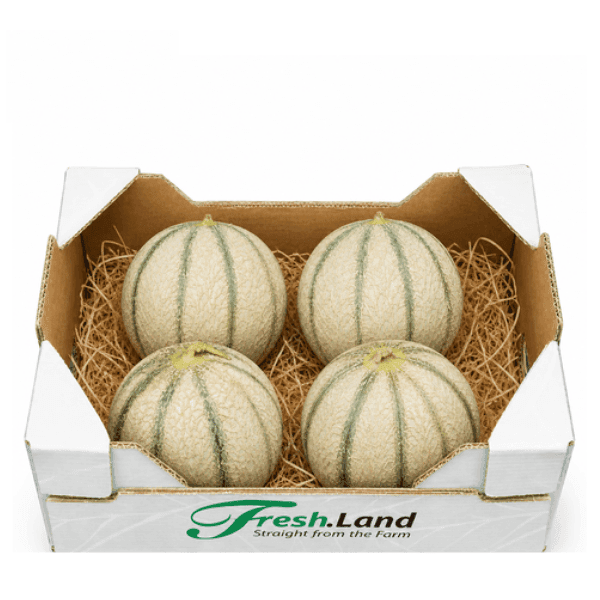 Øko Mini Cantaloupe Melon  🇪🇸 — Fresh.Land
