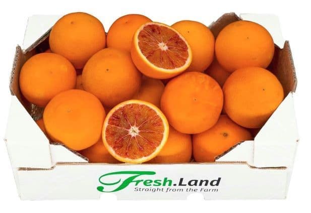 Øko Siciliansk Blodappelsin  🇮🇹 — Fresh.Land