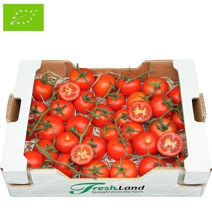 Øko Tomater på stilk   🇪🇸 — Fresh.Land