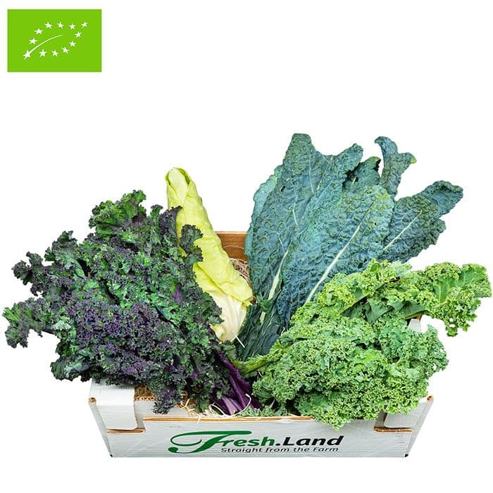 Øko Dansk Bladkål  🇩🇰 — Fresh.Land