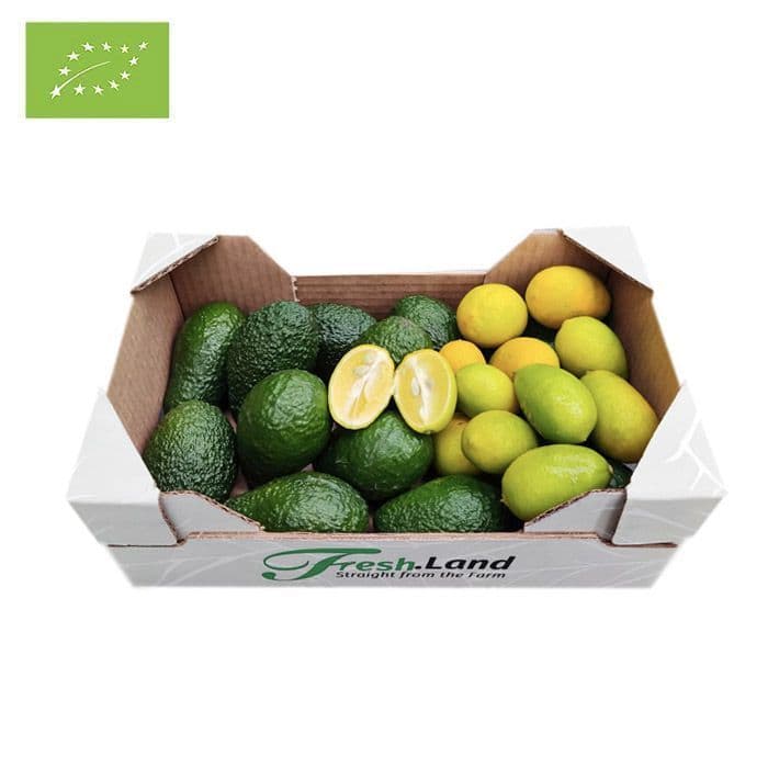 Øko Avocado og Limequat  🇪🇸 — Fresh.Land