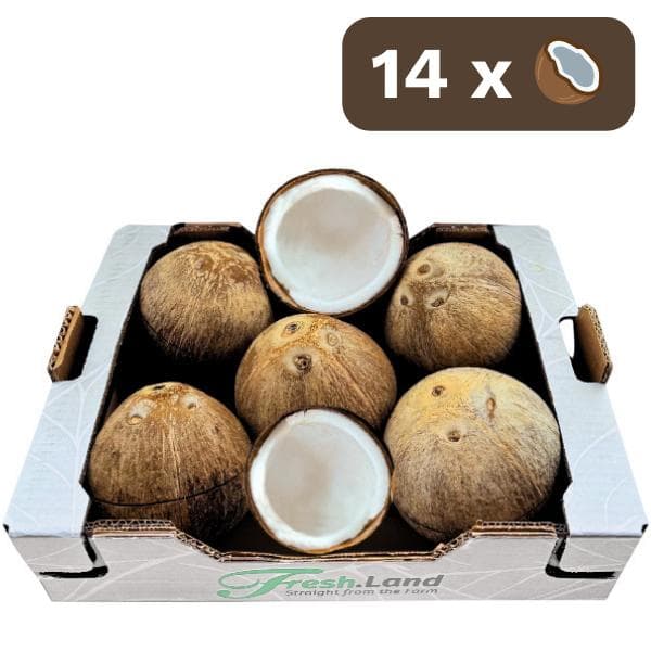 Deluxe Drikke Kokosnødder — Fresh.Land