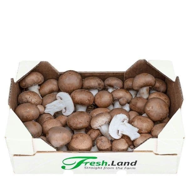 Øko Brun Champignon  🇩🇪