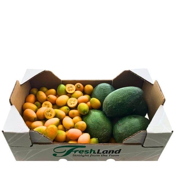 Øko Avocado og kumquats  🇪🇸 — Fresh.Land
