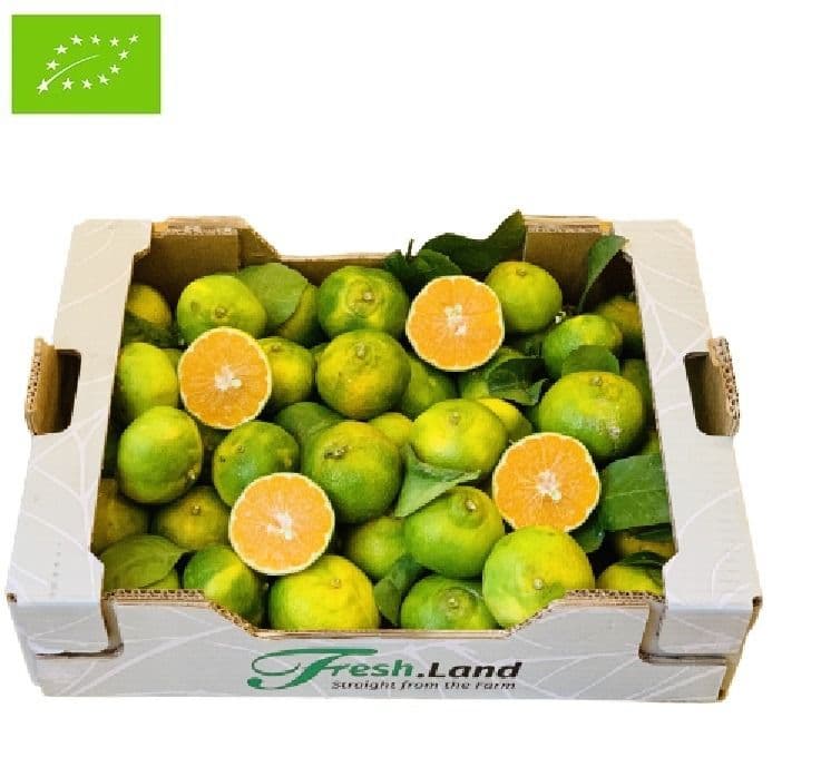 Øko Satsumas  🇪🇸 — Fresh.Land