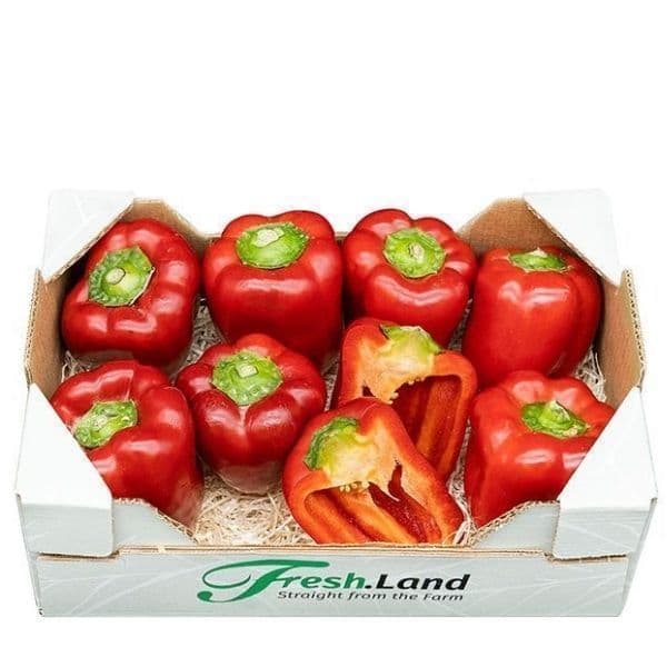 Øko Rød Peberfrugt  🇪🇸