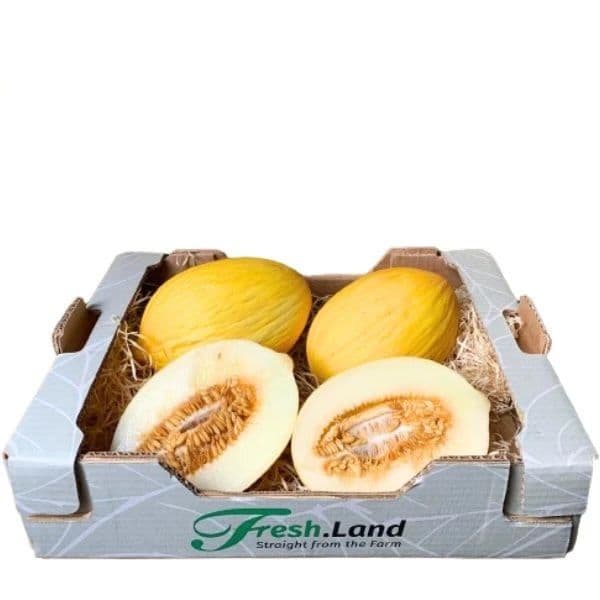 Øko honningmelon  🇪🇸 — Fresh.Land