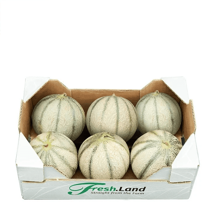 Øko Mini Cantaloupe Melon  🇪🇸 — Fresh.Land