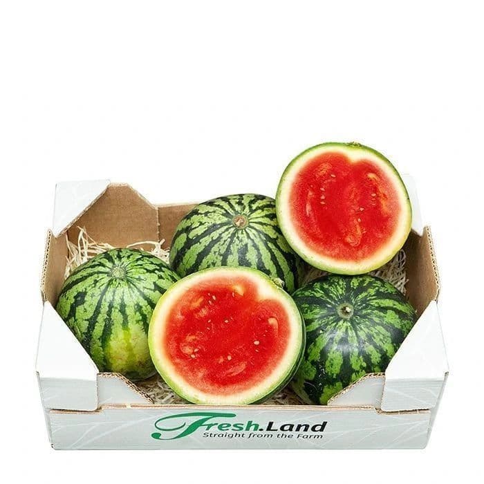 Øko Mini Vandmelon  🇪🇸 — Fresh.Land