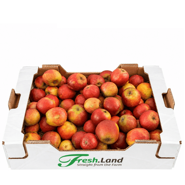 Øko Holstein Cox Æbler 🇩🇰 — Fresh.Land