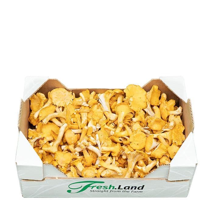 Deluxe Kantareller  🇸🇪