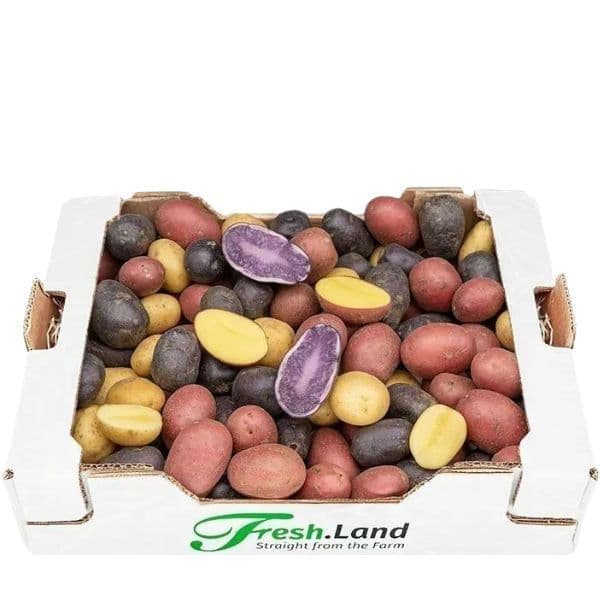 Øko Regnbue Kartofler  🇩🇰 — Fresh.Land