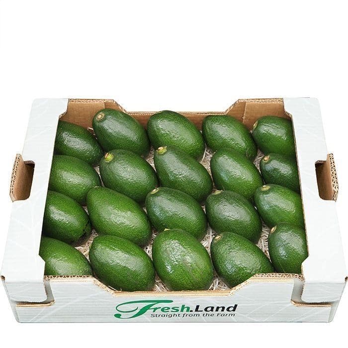 Øko Kæmpe Avocado  🇪🇸 — Fresh.Land