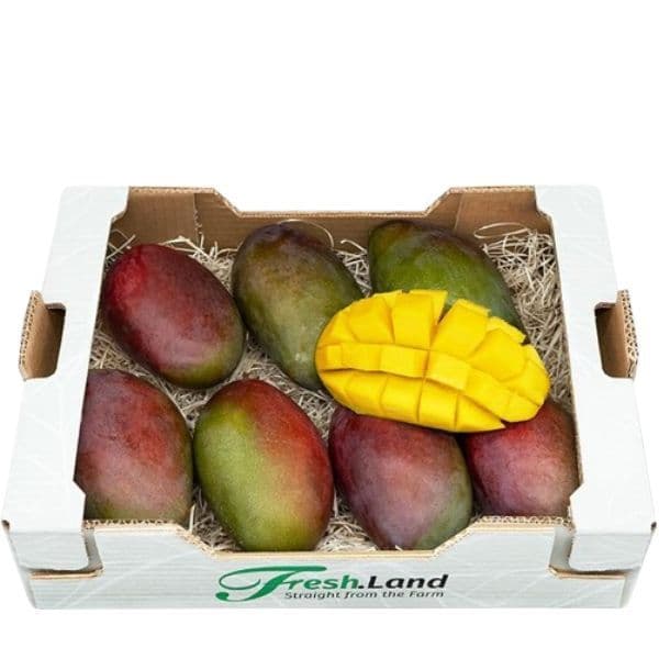 Øko Kæmpe Mango  🇪🇸 — Fresh.Land