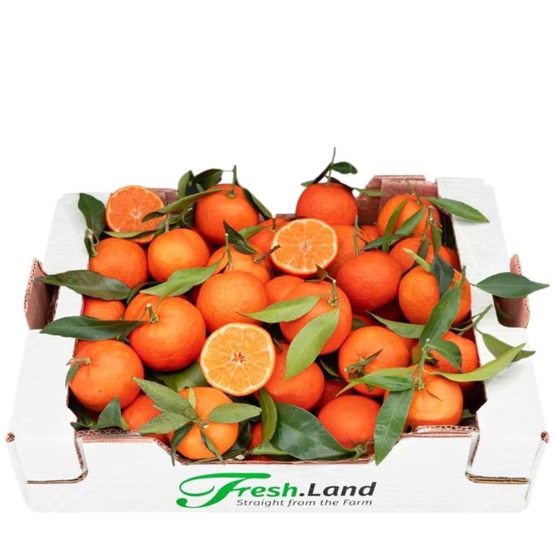 Øko Klementiner  🇪🇸 — Fresh.Land