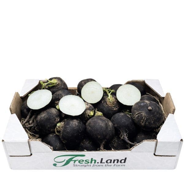 Øko Sort Ræddike  🇩🇰