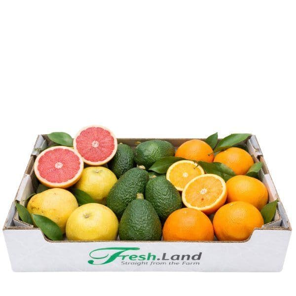 Deluxe Algarve-kassen  🇵🇹