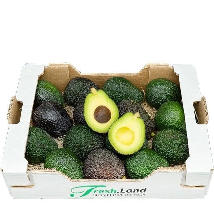 Øko Kæmpe Hass Avocado  🇪🇸 — Fresh.Land