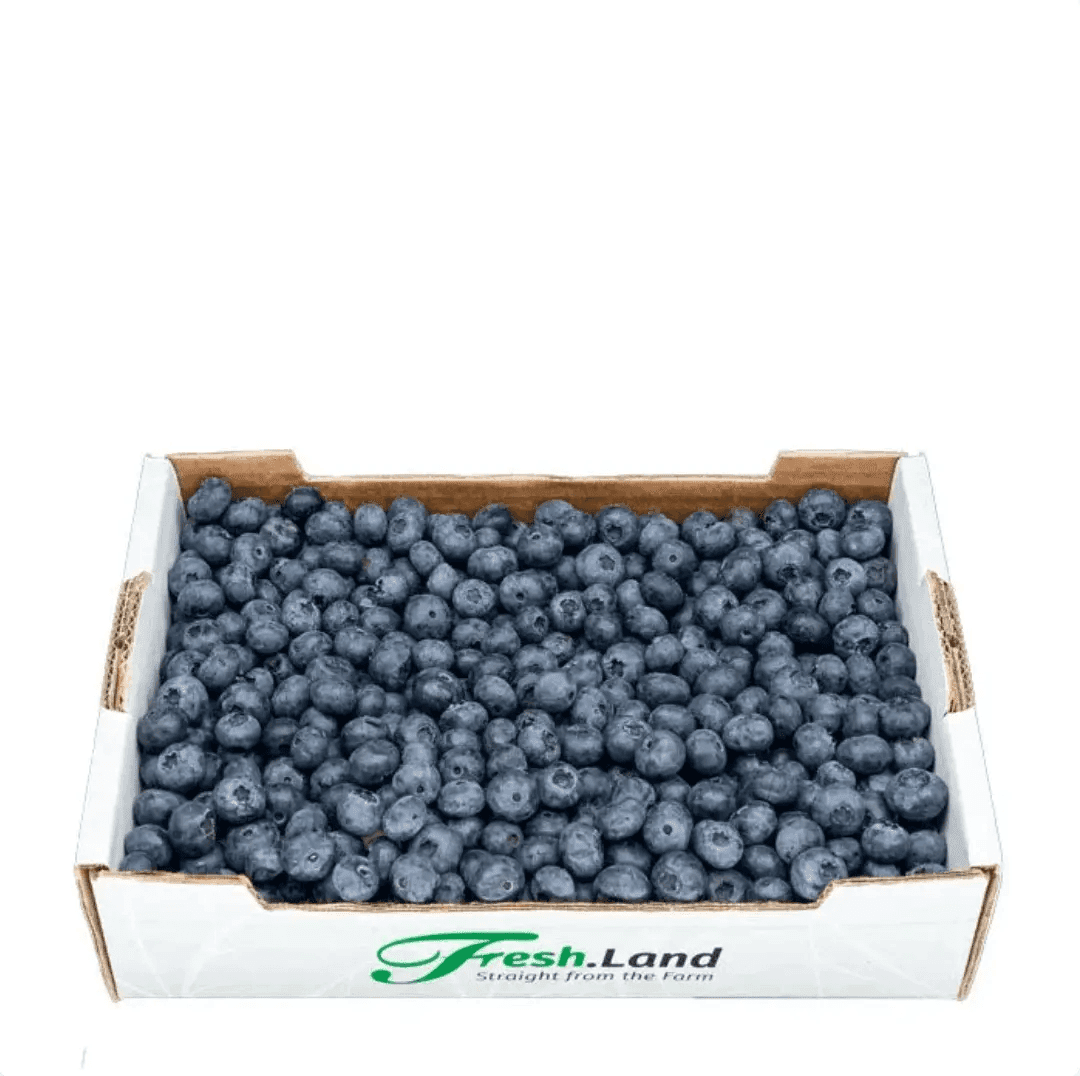 Øko Blåbær  🇪🇸