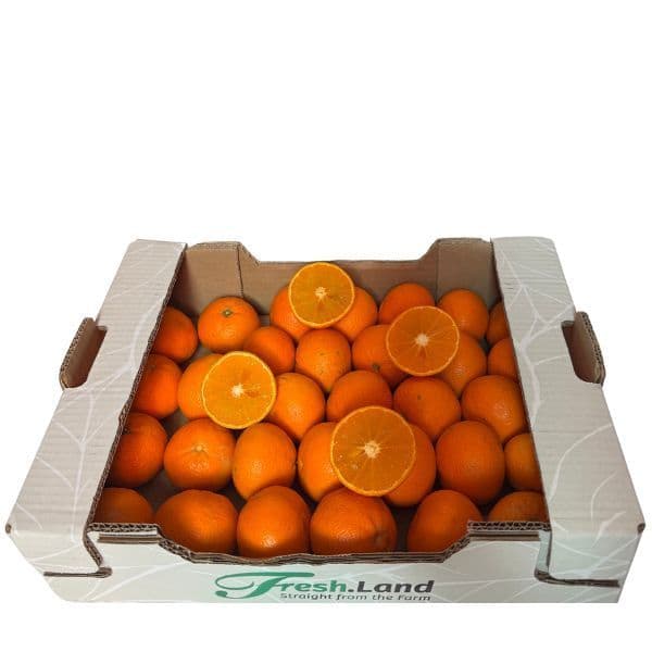 Øko Ortanique  🇪🇸