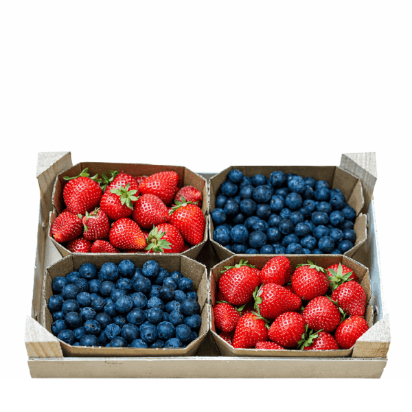 Øko Bærkassen  🇪🇸 — Fresh.Land