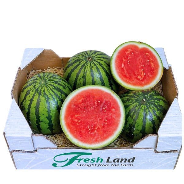 Øko Vandmelon  🇪🇸 — Fresh.Land