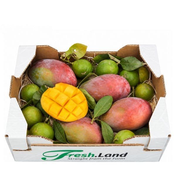 Øko Mango- & Citronmix 🇪🇸 — Fresh.Land