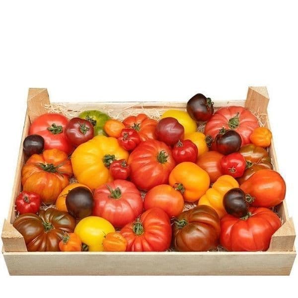 Heirloom Tomater 🇧🇪 — Fresh.Land