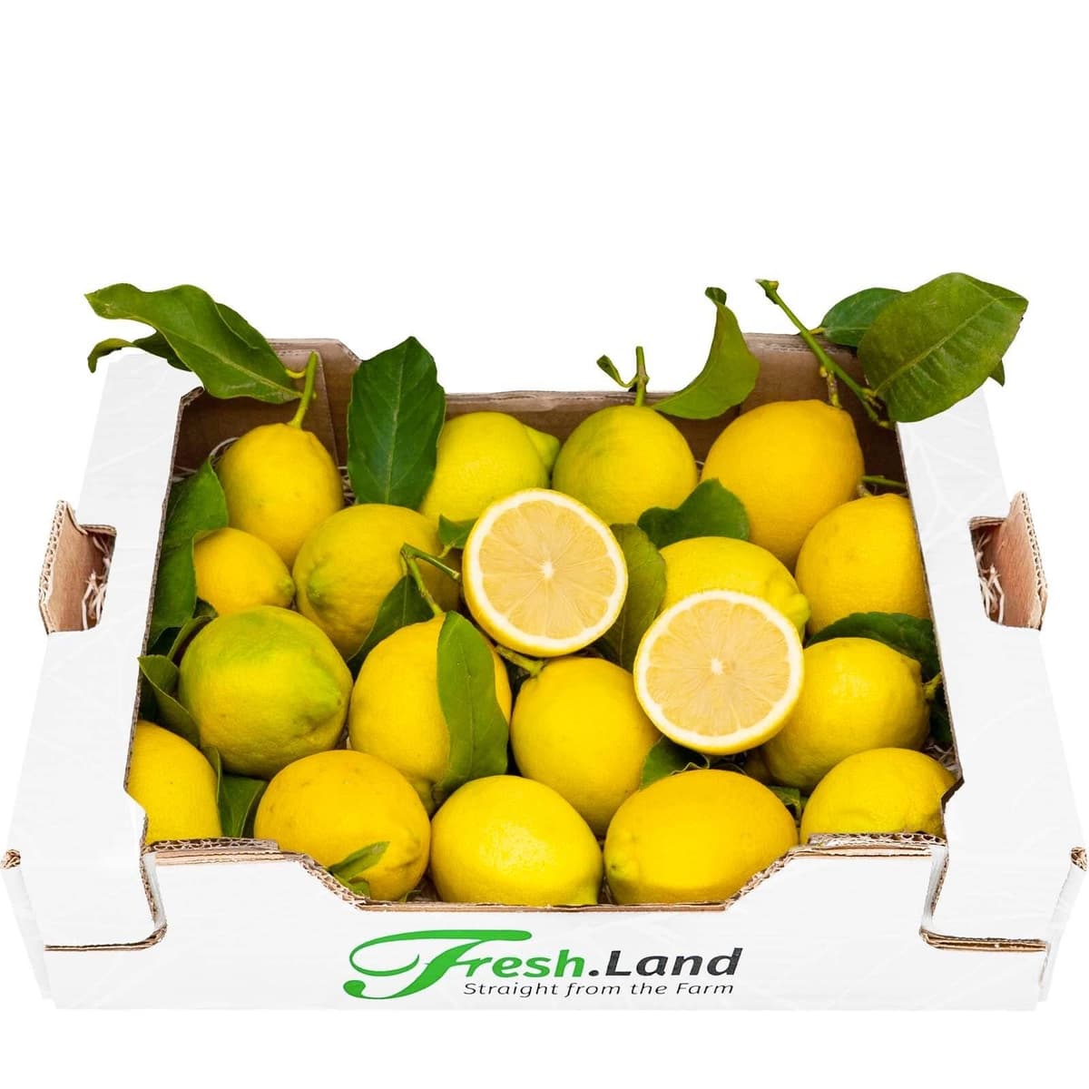 Øko Citron 🇪🇸 — Fresh.Land
