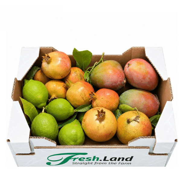 Øko Andalusisk Mix 🇪🇸 — Fresh.Land