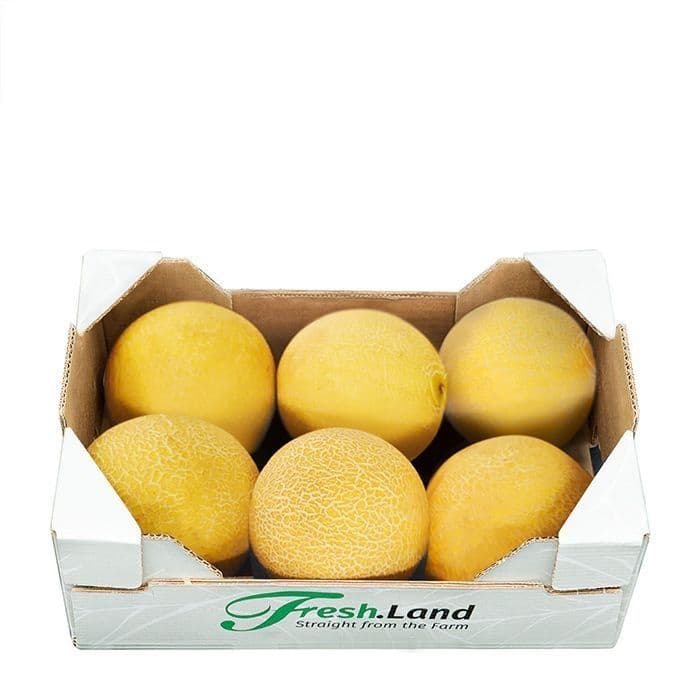 Øko Mini Galia Melon 🇪🇸 — Fresh.Land