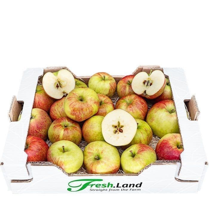 Øko Danske Holsteiner Cox Æbler 🇩🇰 — Fresh.Land
