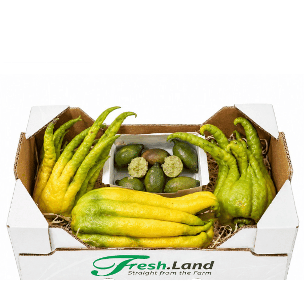 Øko Eksotisk Citrus 🇪🇸 — Fresh.Land