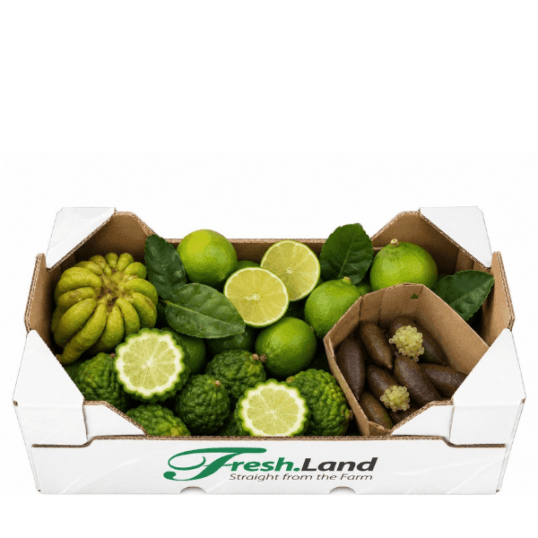 Øko Eksotisk Citrus 🇪🇸 — Fresh.Land
