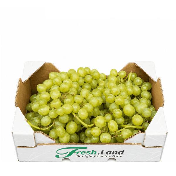 Øko Grønne Vindruer 🇪🇸 — Fresh.Land