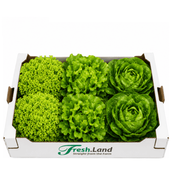 Øko Salatkassen 🇩🇰 — Fresh.Land
