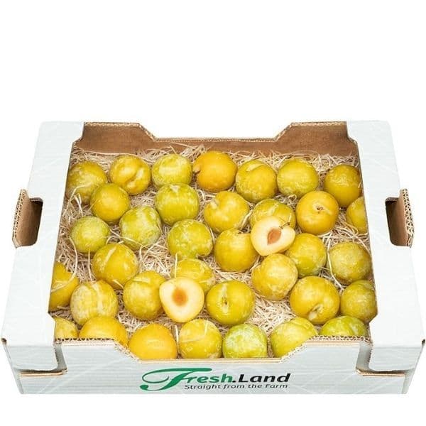 Øko Gule Blommer 🇪🇸 — Fresh.Land