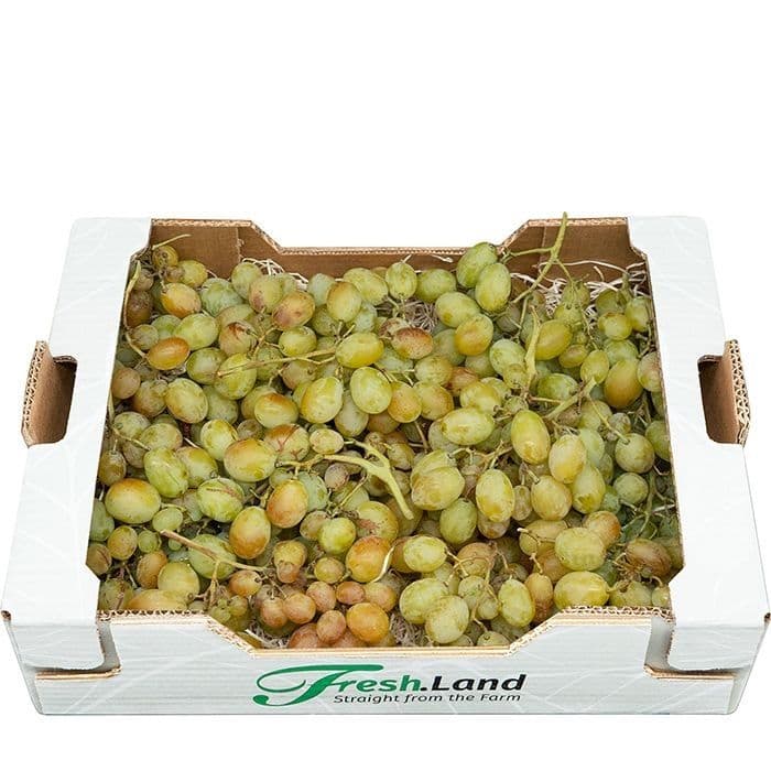 Øko Grønne Vindruer 🇪🇸 — Fresh.Land