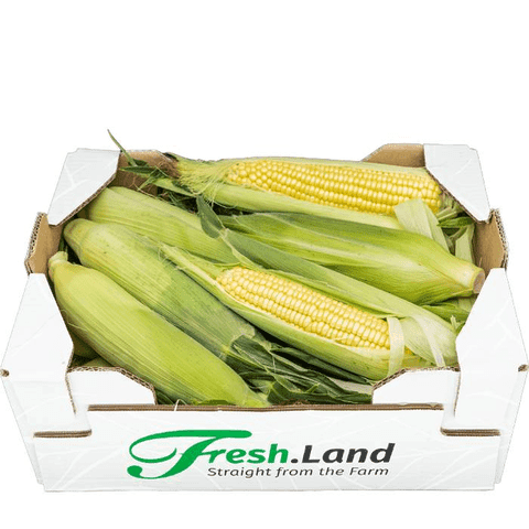 Øko Sukkermajs 🇪🇸 — Fresh.Land