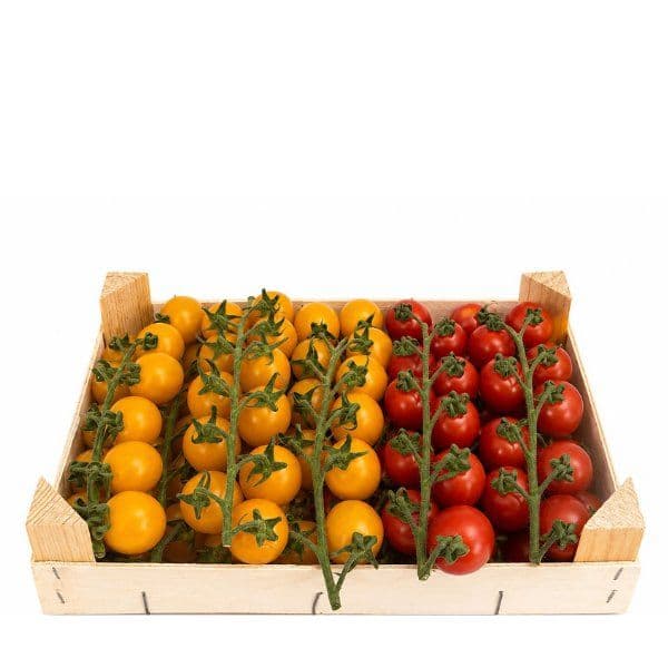 Gourmet Cherrytomater på Stilk 🇧🇪 — Fresh.Land