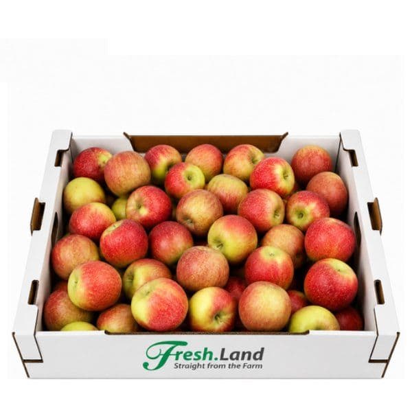 Øko Aroma Æbler 🇩🇰 — Fresh.Land