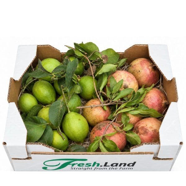 Øko Citron & Granatæble Mix 🇪🇸 — Fresh.Land