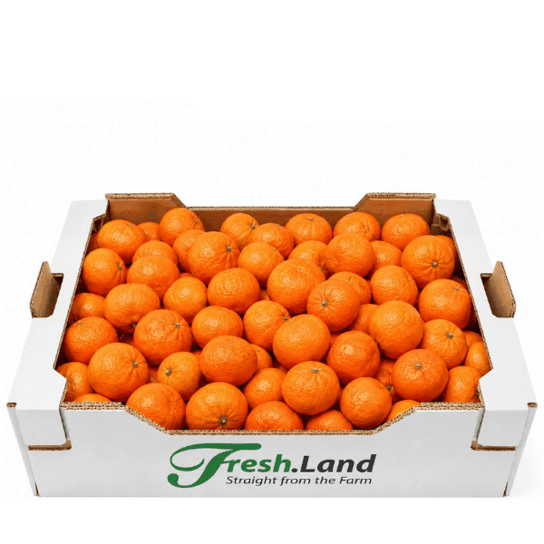 Øko Klementiner 🇪🇸 — Fresh.Land